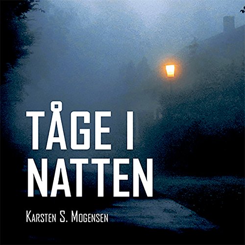 Tåge i natten