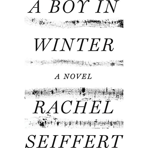 A Boy in Winter by Rachel Seiffert