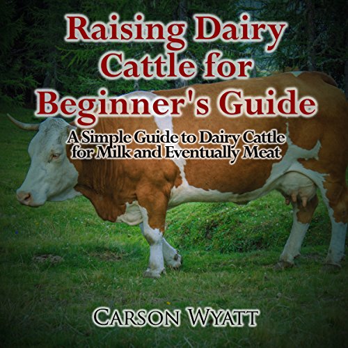 Raising Dairy Cattle for Beginners