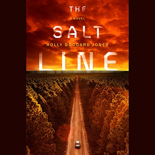 The Salt Line by Holly Goddard Jones