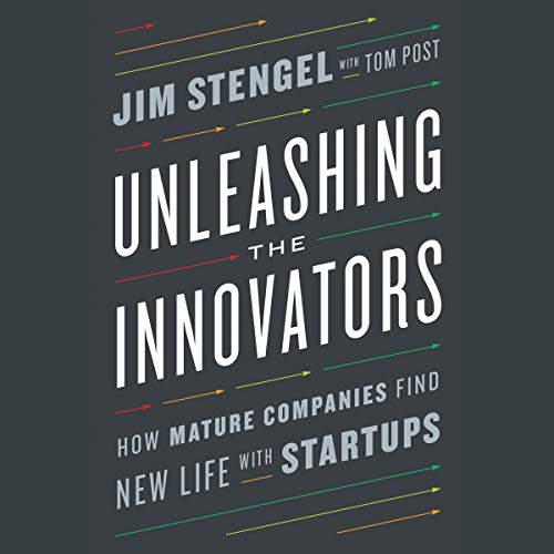 Unleashing the Innovators by Jim Stengel
