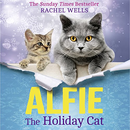 Alfie the Holiday Cat