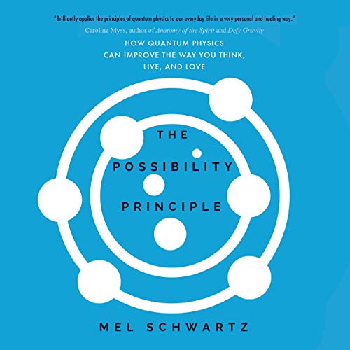 The Possibility Principle by Mel Schwartz