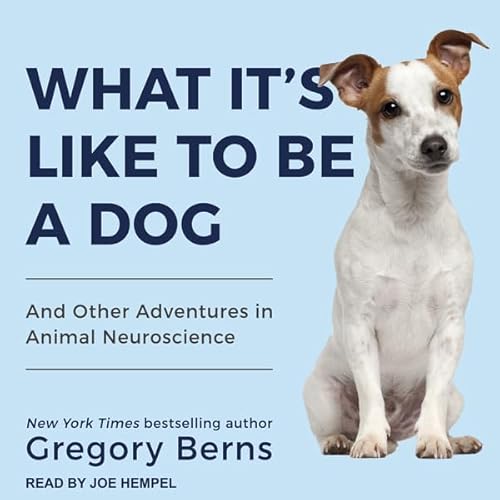 What It's Like to Be a Dog