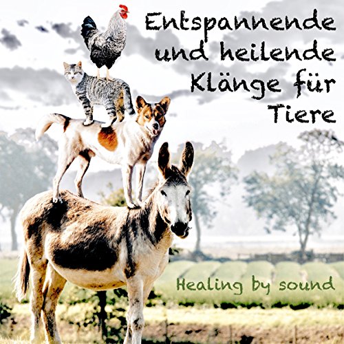 Entspannende und heilende Klänge für Tiere