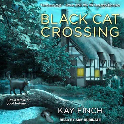 Black Cat Crossing by Kay Finch