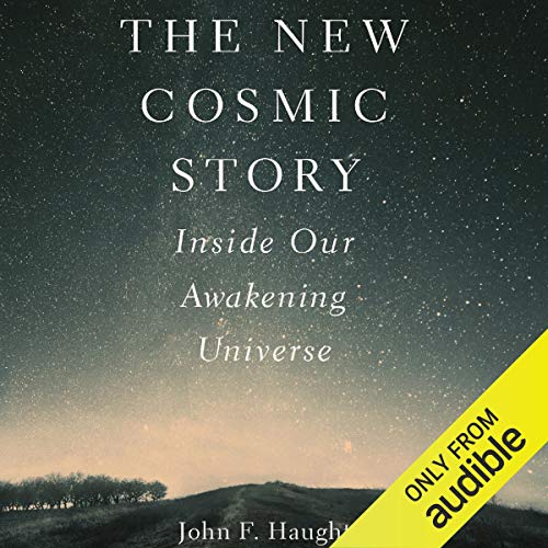 The New Cosmic Story by John F. Haught
