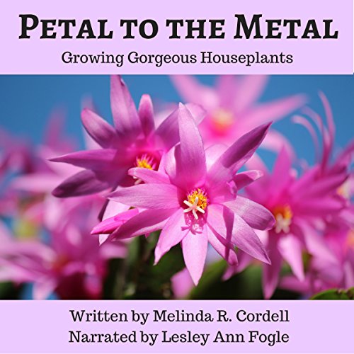Petal to the Metal: Growing Gorgeous Houseplants