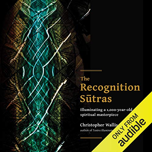 The Recognition Sutras by Christopher D Wallis