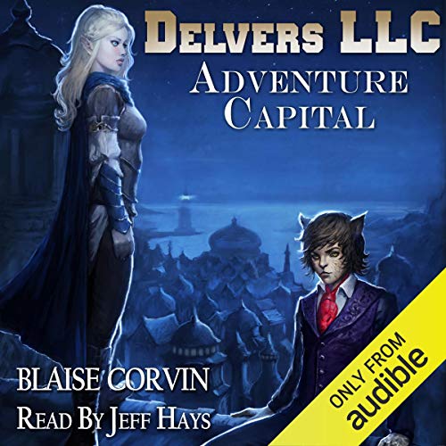 Delvers LLC: Adventure Capital