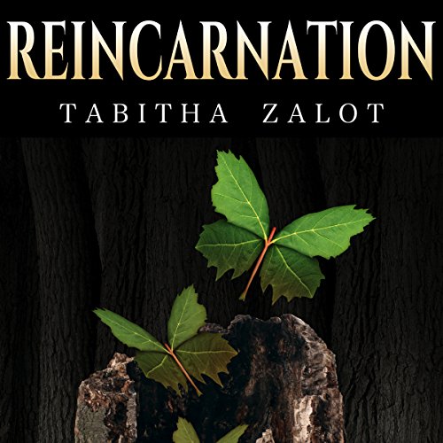 Reincarnation: Afterlife