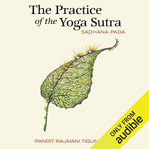 The Practice of the Yoga Sutra: Sadhana Pada