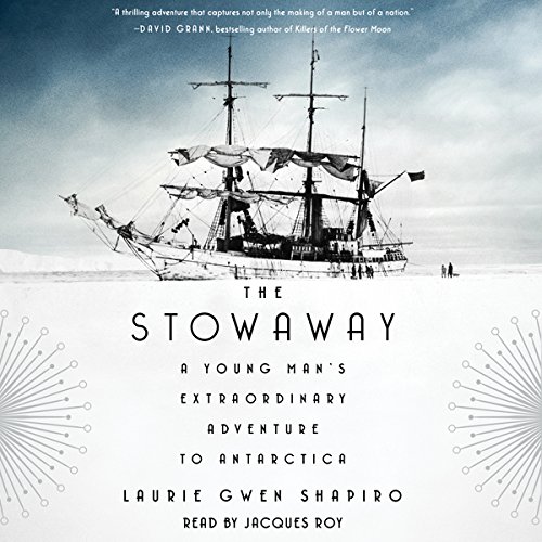 The Stowaway by Laurie Gwen Shapiro