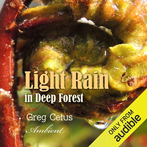 Light Rain in Deep Forest