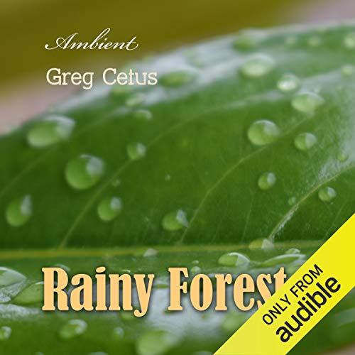 Rainy Forest by Greg Cetus