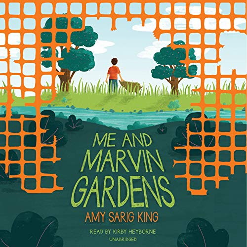 Me and Marvin Gardens by Amy Sarig King