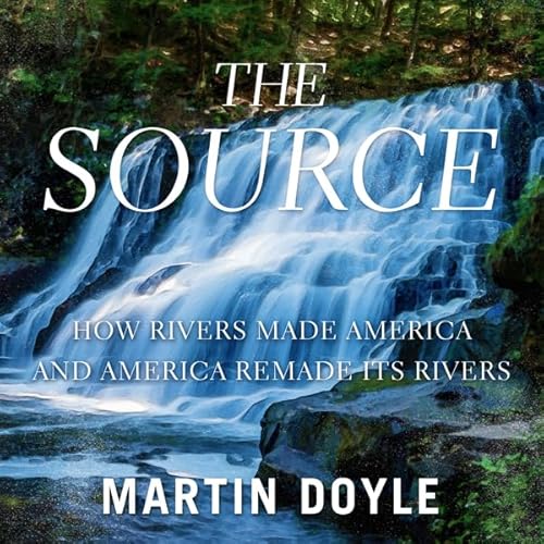 The Source by Martin Doyle