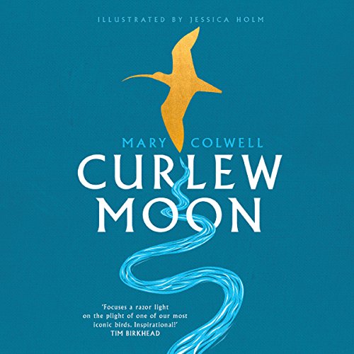 Curlew Moon by Mary Colwell