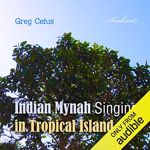 Indian Mynah Singing in Tropical Island