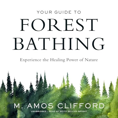 Your Guide to Forest Bathing: Experience the Healing Power of Nature