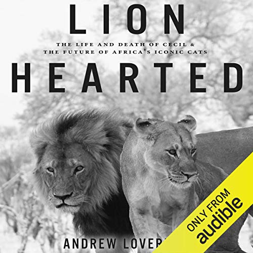 Lion Hearted by Andrew Loveridge