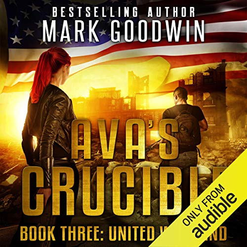 United We Stand: A Post-Apocalyptic Novel of the Coming Civil War in America