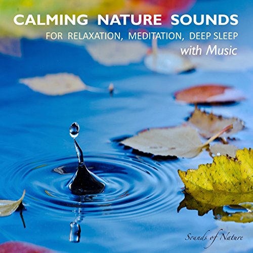Calming Nature Sounds With Music