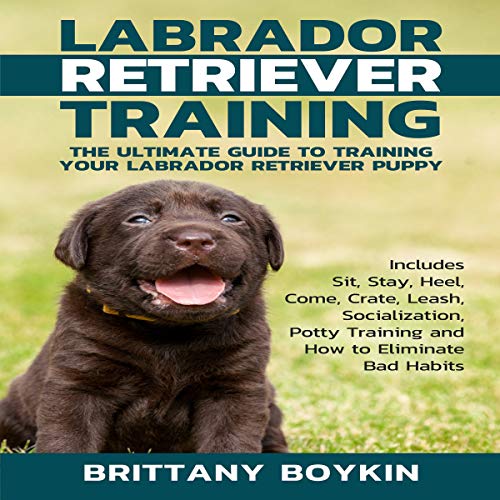 Labrador Retriever Training: The Ultimate Guide to Training Your Labrador Retriever Puppy