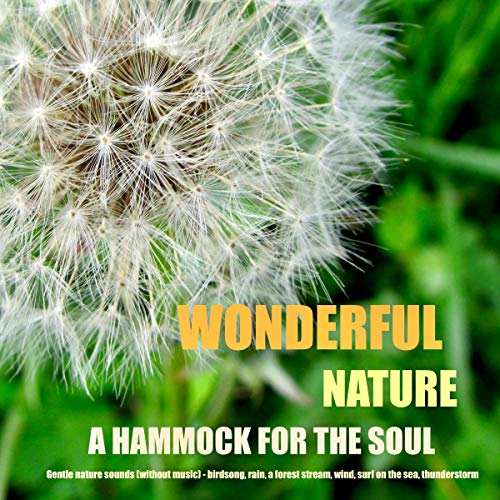 Wonderful nature - A hammock for the soul