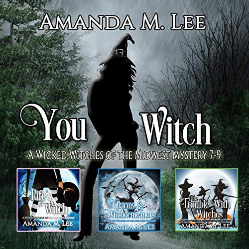 You Witch: A Wicked Witches of the Midwest Mystery, Books 7-9
