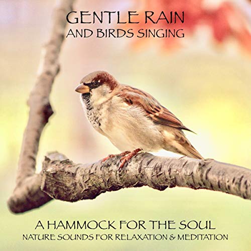Gentle rain and birds singing - a hammock for the soul
