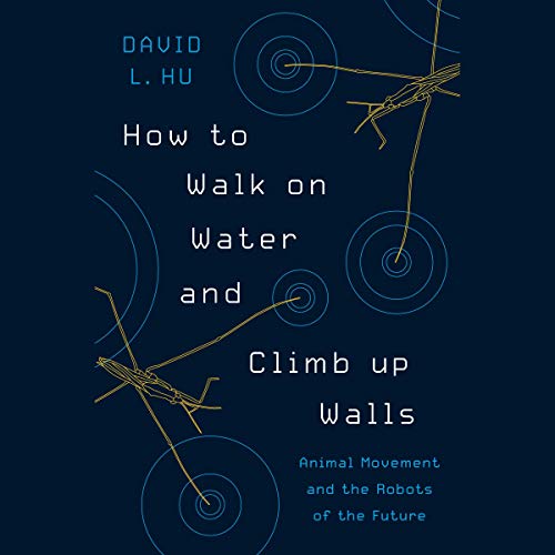 How to Walk on Water and Climb up Walls by David Hu