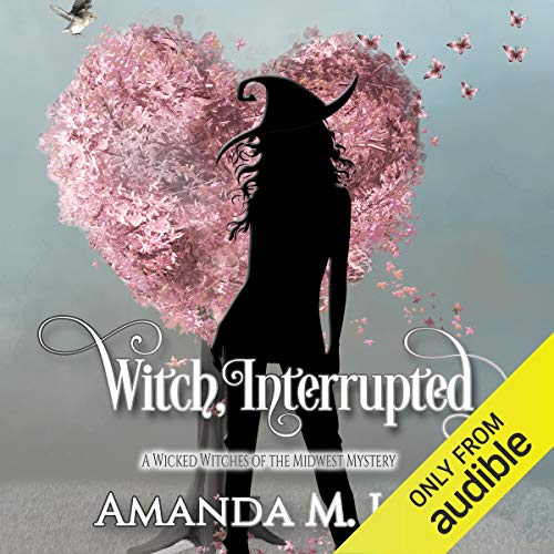 Witch, Interrupted by Amanda M. Lee