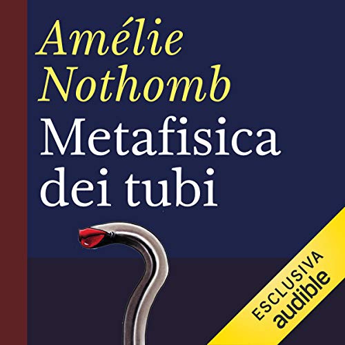 Metafisica dei tubi
