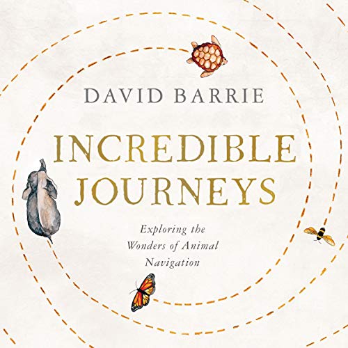Incredible Journeys by David Barrie