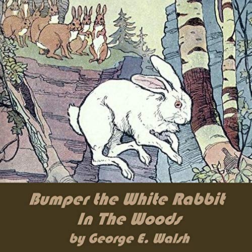 Bumper the White Rabbit in the Woods