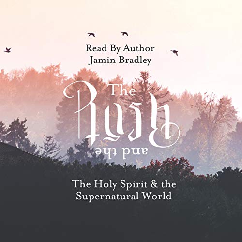 The Rush and the Rest by Jamin Bradley