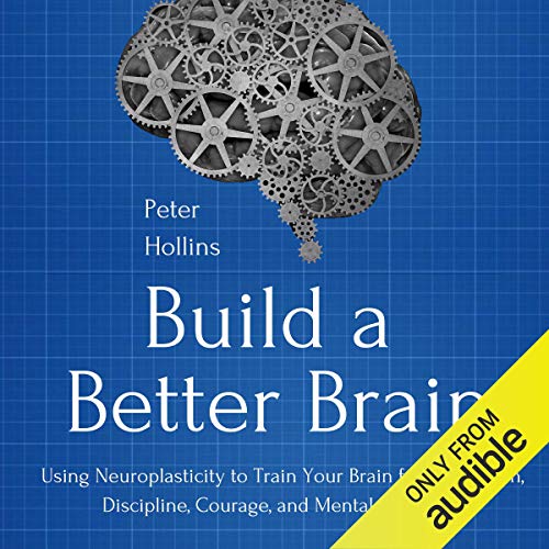 Build a Better Brain