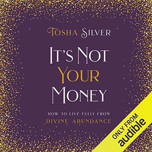 It's Not Your Money by Tosha Silver