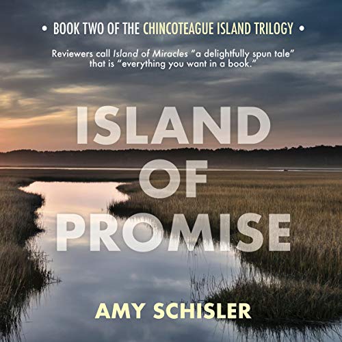 Island of Promise by Amy Schisler