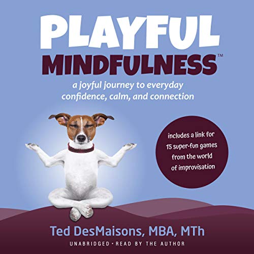 Playful Mindfulness by Ted DesMaisons