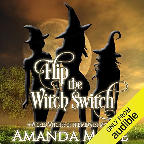 Flip the Witch Switch by Amanda M. Lee
