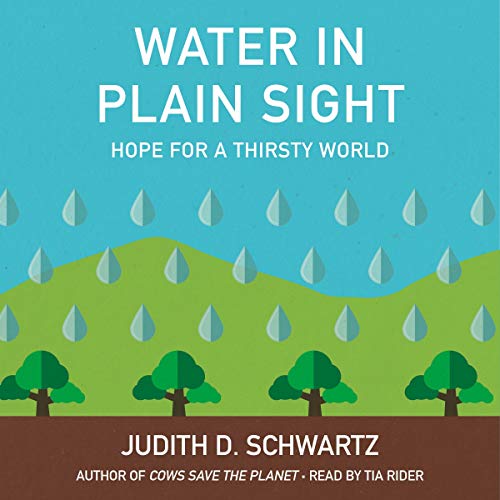 Water in Plain Sight by Judith D. Schwartz