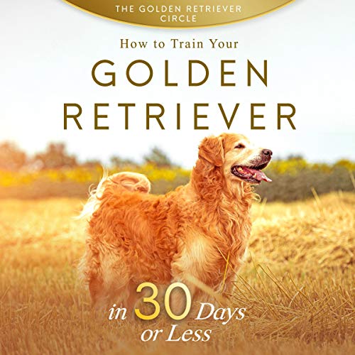 Golden Retriever by The Golden Retriever Circle
