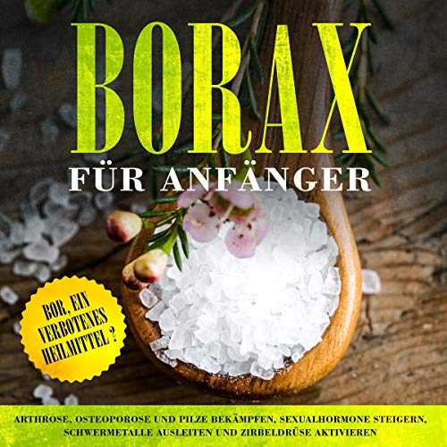 Borax für Anfänger: Bor, ein verbotenes Heilmittel? [Borax for Beginners: Boron, a Forbidden Remedy?] by Sebastian Löwenthal