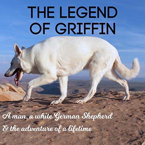 The Legend of Griffin by Joe Patterson