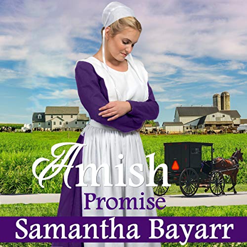 Amish Romance: The Promise