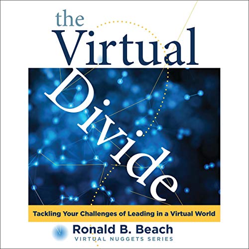 The Virtual Divide