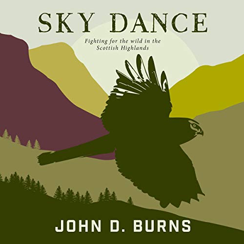 Sky Dance by John D. Burns
