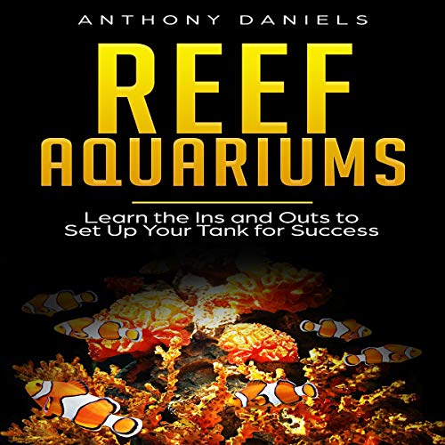 Reef Aquariums: Learn the Ins and Outs to Set Up Your Tank for Success